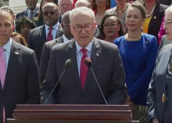 The ‘F-word’: Schumer says Trump’s first 100 days can be distilled to single utterance