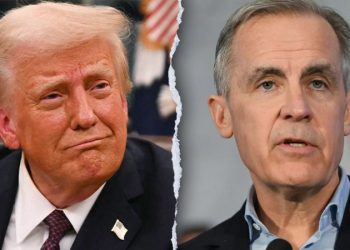 Leading Canadian conservative says Ottawa should remove all tariffs as ‘Liberation Day’ arrives