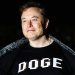 DAVID MARCUS: Musk’s DOGE changed the way America sees federal spending waste