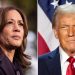 Dems drop $20M on bizarre ‘American men’ strategy plan study in effort to dig out of 2024 political hole