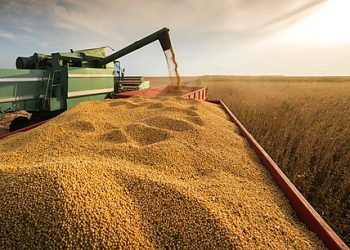 Tariffs and Agriculture: Reaping What You Sow?