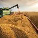 Tariffs and Agriculture: Reaping What You Sow?