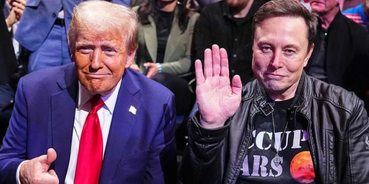 South African-born Musk evoked by Trump during meeting with nation’s leader: ‘Don’t want to get Elon involved’