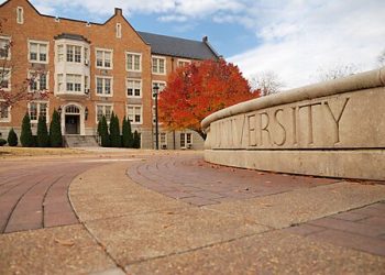 Universities in Libertarian Land