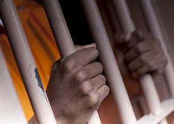 Haitian Immigrants Have a Low Incarceration Rate