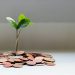 A Dash for Cash: What to Do About Crowdfunding?