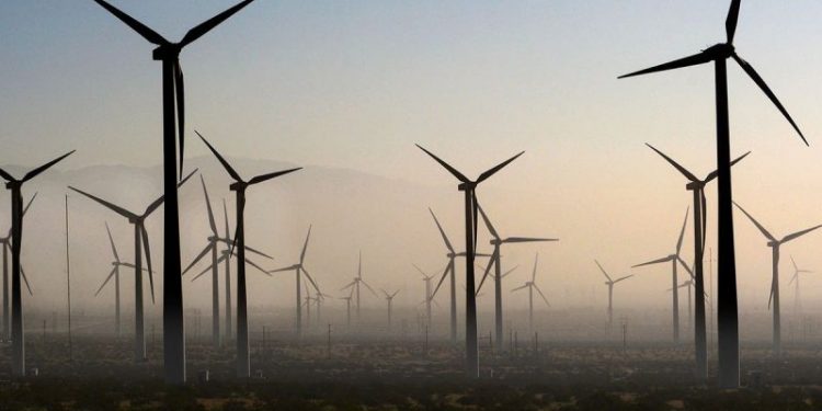 Gargantuan ‘bird cemeteries’ in Burgum’s crosshairs as DOI looks to curb green wind projects