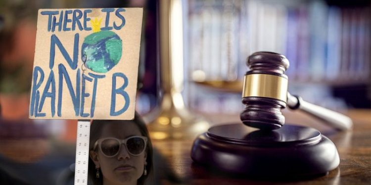 Top energy group calls for probe into secretive ‘national lawfare campaign’ to influence judges on climate