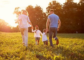 Cash Benefits Minimally Affect Fertility