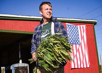 A Tale of Two Cannabinoids: Congress’s Protectionist Pivot and Policy Dissonance