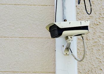 Williamson v. United States Brief: Ten Months of Warrantless Video Surveillance Violates the Fourth Amendment