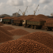 What’s driving the sudden cocoa pile-up at Ivory Coast’s busiest ports?