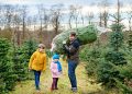 The Christmas Tree Tax