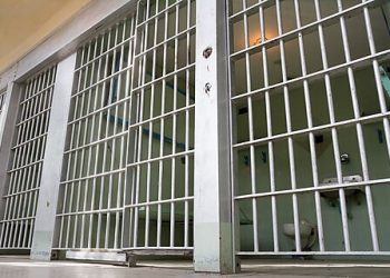 Singleton v. Hamm Brief: Federal Courthouses Should Hear Over-Detention Claims