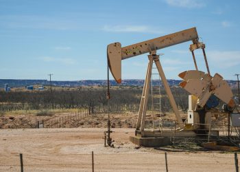 OPEC+ likely to keep production hikes on hold for March as oil prices rise