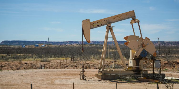 OPEC+ likely to keep production hikes on hold for March as oil prices rise