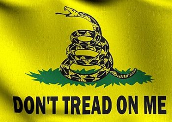 When Politics Replaces Policy: The Case for Reviving Limited Government