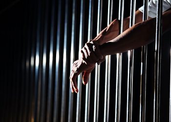 How a Manhattan Institute Comparison of Immigrant Incarceration Rates Is Rhetorically Misleading