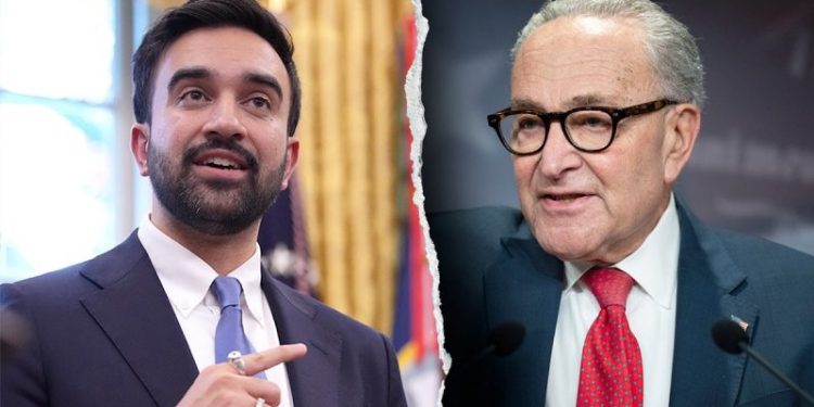 Schumer silent as Mamdani scraps antisemitism definition, synagogue security