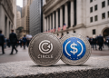The bullish case for the Circle stock as it remains in a bear market
