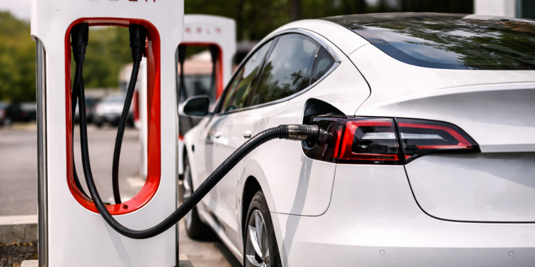 Tesla stock slips as delivery miss and risks weigh on sentiment