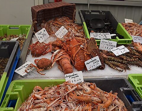 Shellfish, Typhoid, and Private Control of Disease